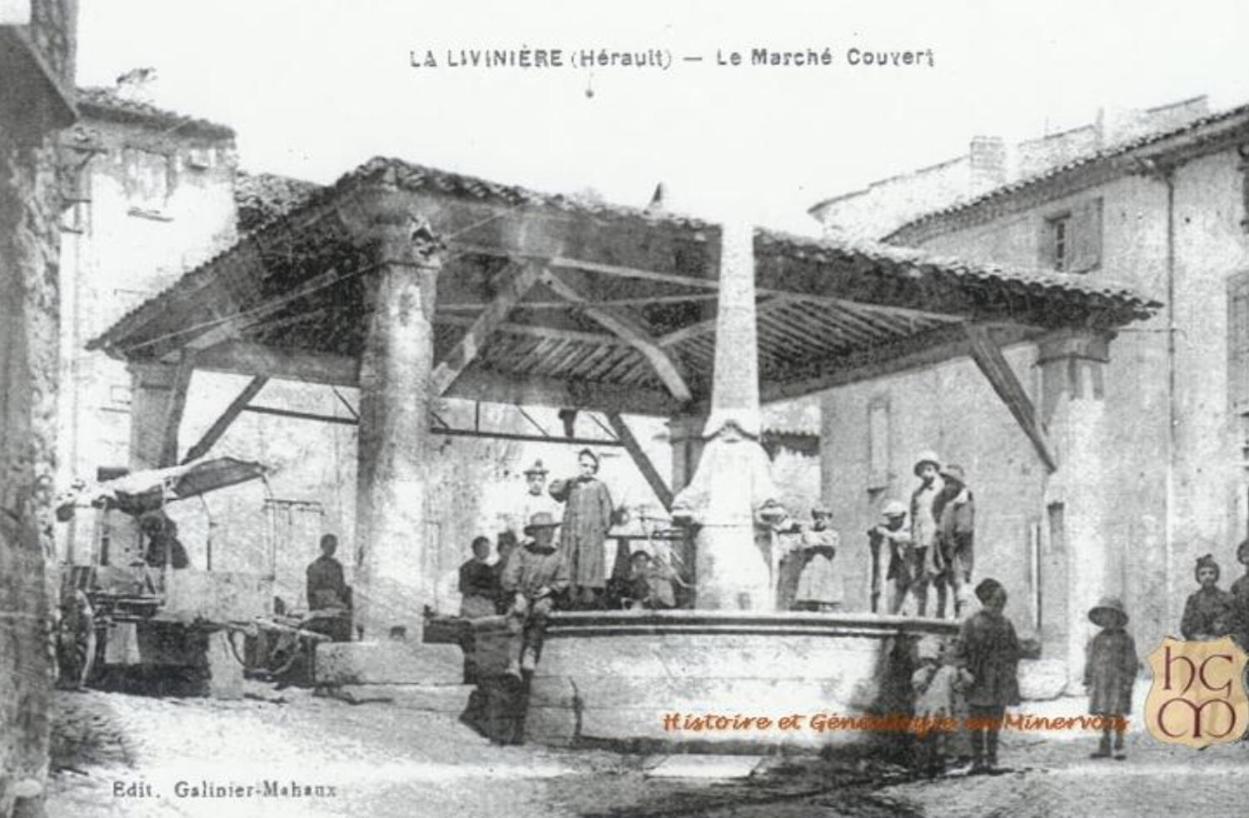 La Maison de Leontine La Liviniere Extérieur photo
