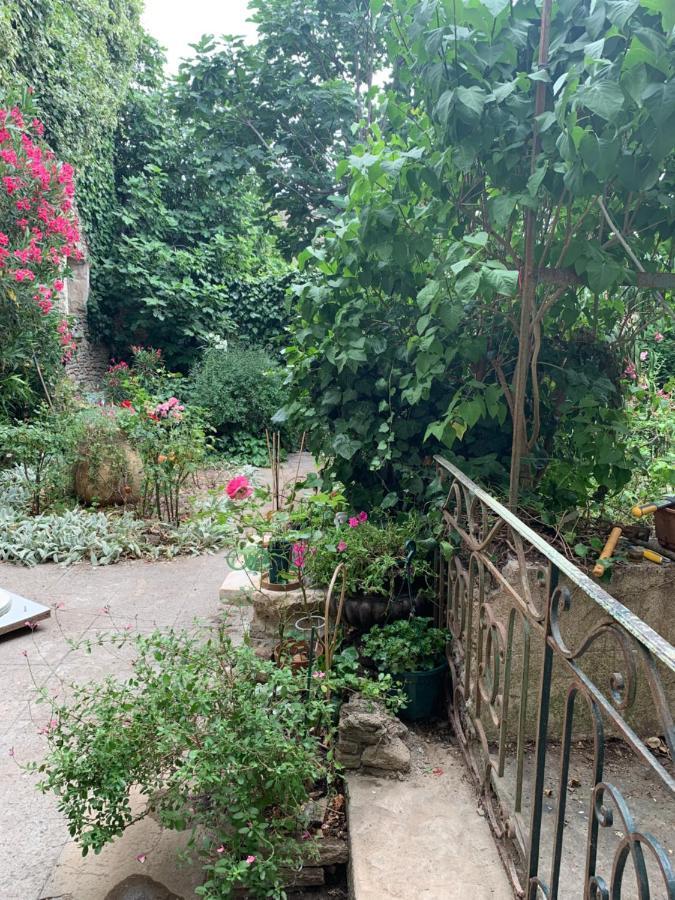 La Maison de Leontine La Liviniere Extérieur photo