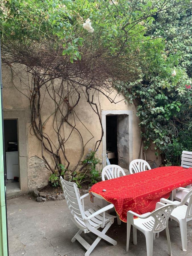 La Maison de Leontine La Liviniere Extérieur photo